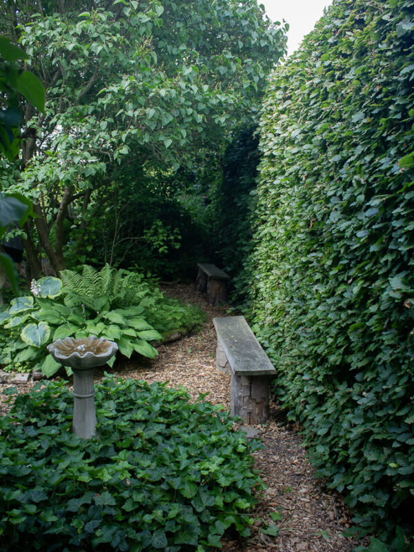 Woodland i engelska trädgården
