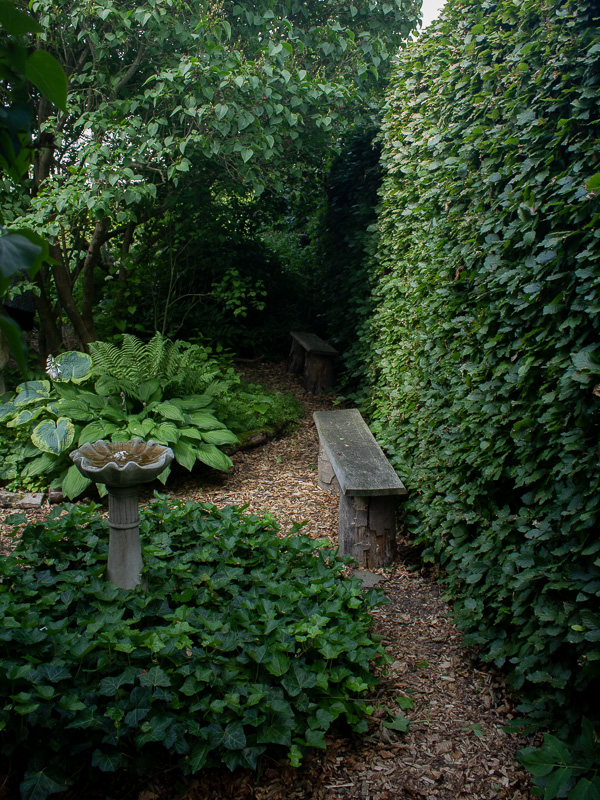 Woodland i Engelska trädgården