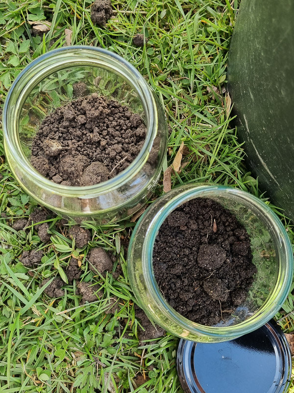 Två glasburkar med olika sorters jord i. Den ena innehåller jord som jag grävde upp ur ett hål i marken, den andra innehåller jord från mina upphöjda odlingslådor.