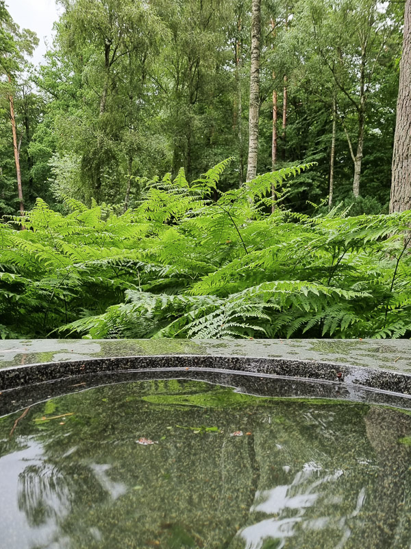 Vatten i japansk trädgård i Ronneby Brunnspark