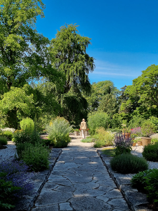Örtagården i Visby Botaniska trädgård