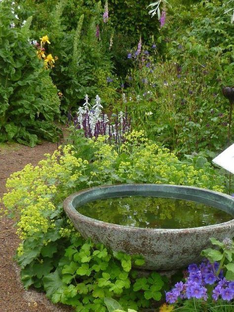 Litet vattenfat i trädgården