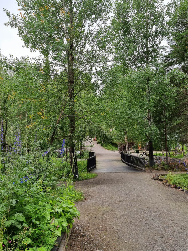 Fjällbotaniska trädgården i Jokkmokk