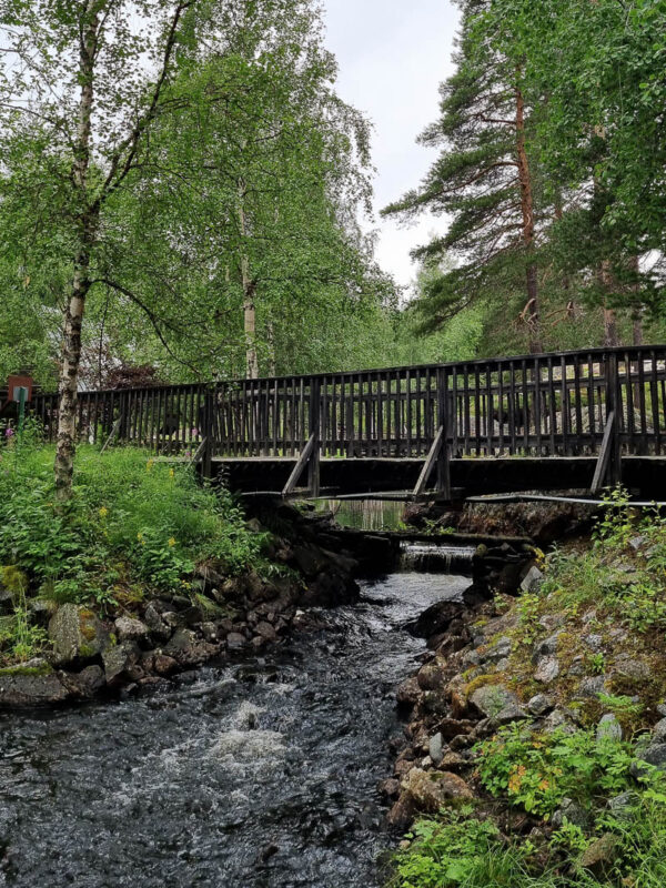 En bäck rinner genom Fjällbotaniska trädgården i Jokkmokk