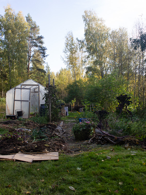 Vy över en köksträdgård med odlingsbäddar i oktobober