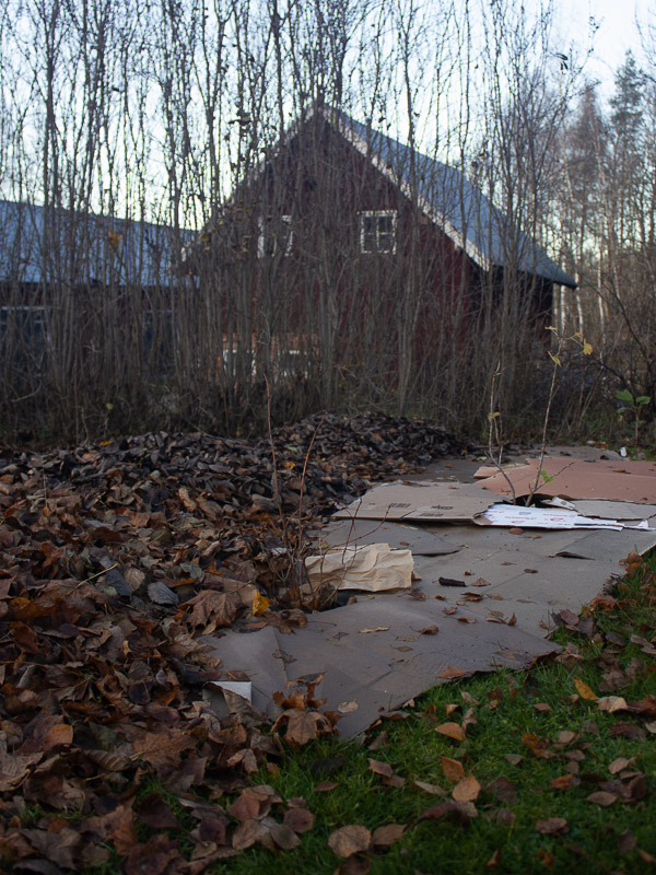 Enkla odlingsbäddar av kartong och löv