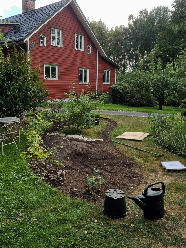 no dig-odlingsbädd under anläggning. Grästorvorna är bortgrävda i kanterna, på övriga gräsytor läggs kartong och sedan ett lager jord